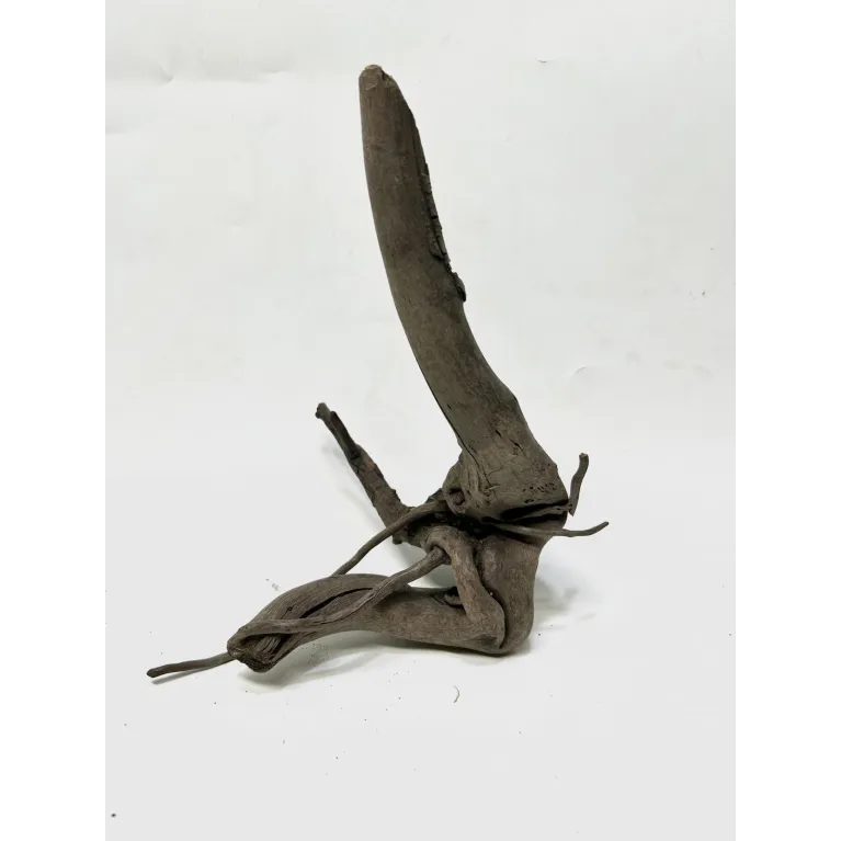 Racine Black Forest S02