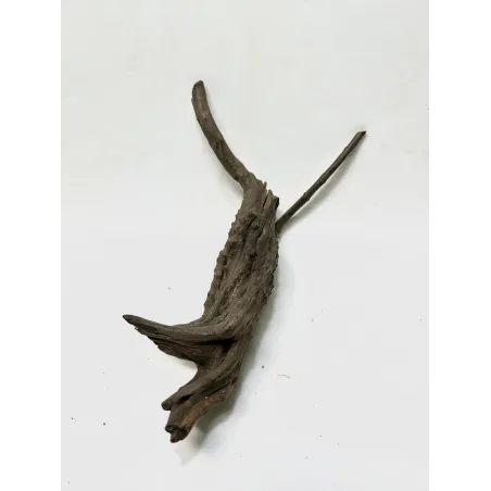 Racine Black Forest S03