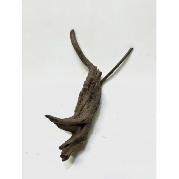 Racine Black Forest S03