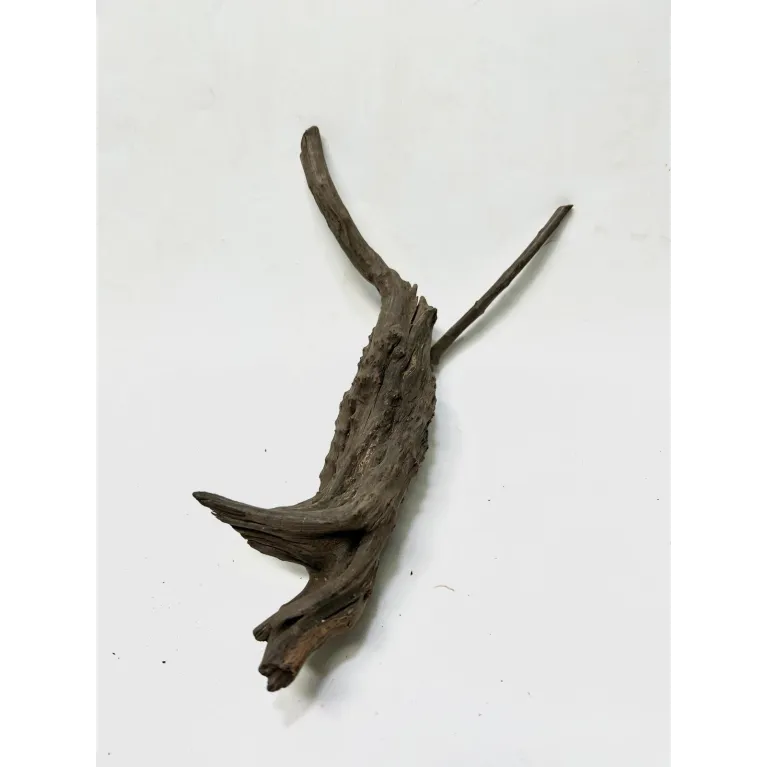 Racine Black Forest S03