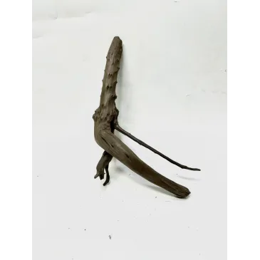 Racine Black Forest S05