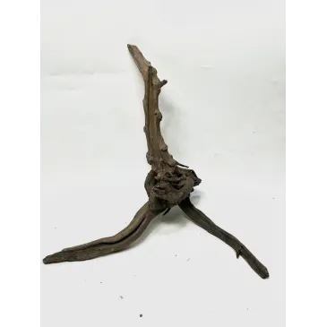 Racine Black Forest M01