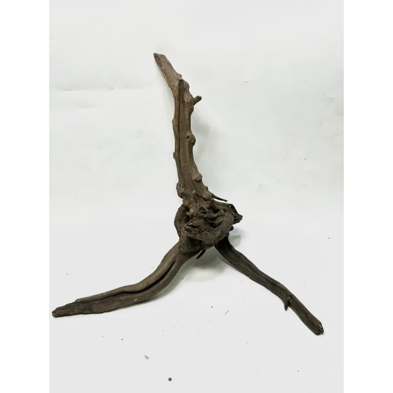 Racine Black Forest M01