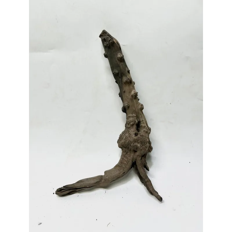 Racine Black Forest M02