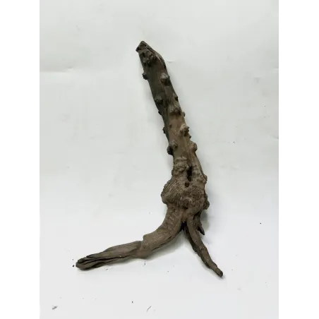 Racine Black Forest M02