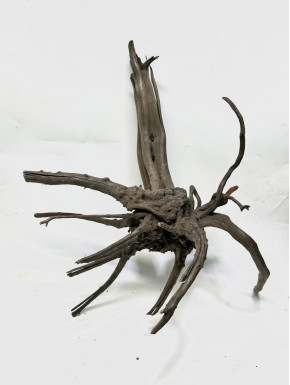 Racine Black Forest L01