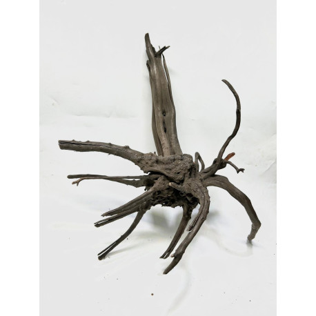 Racine Black Forest L01