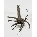 Racine Black Forest L01