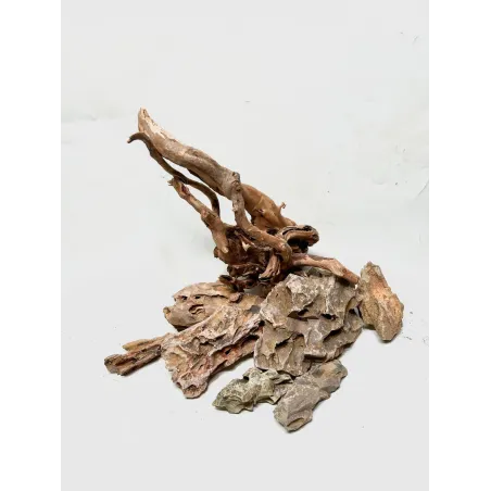 Kit nano scape Ohko asia