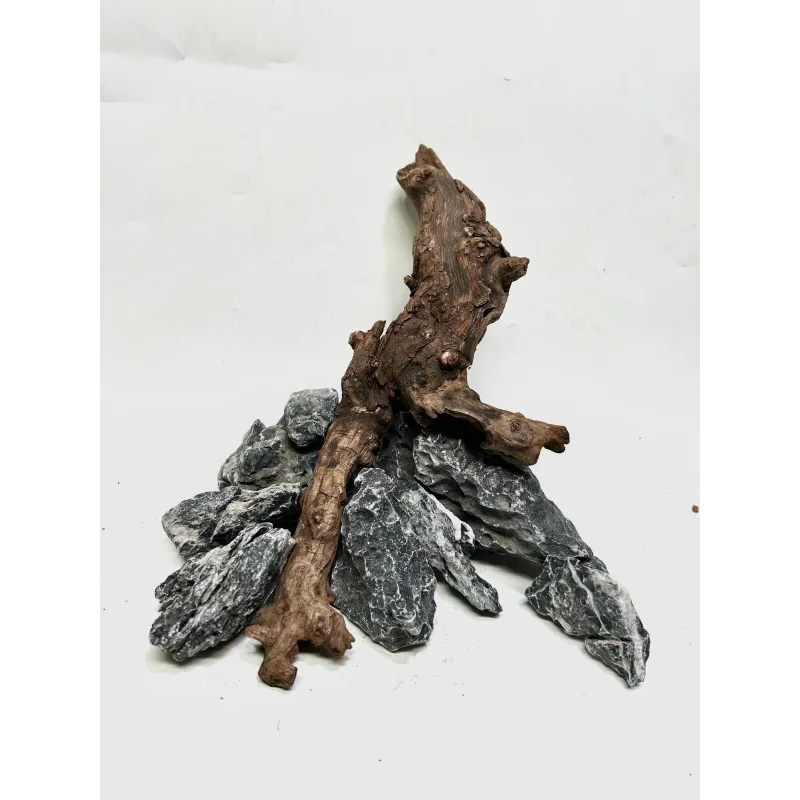 Kit nano scape Ohko asia