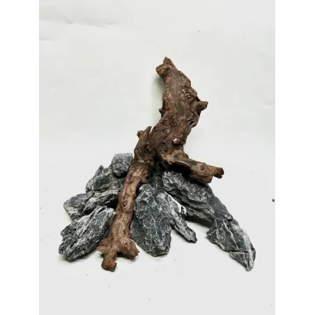 Kit nano scape Ohko asia