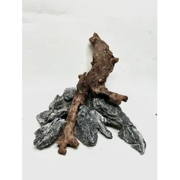 Kit nano scape Ohko asia