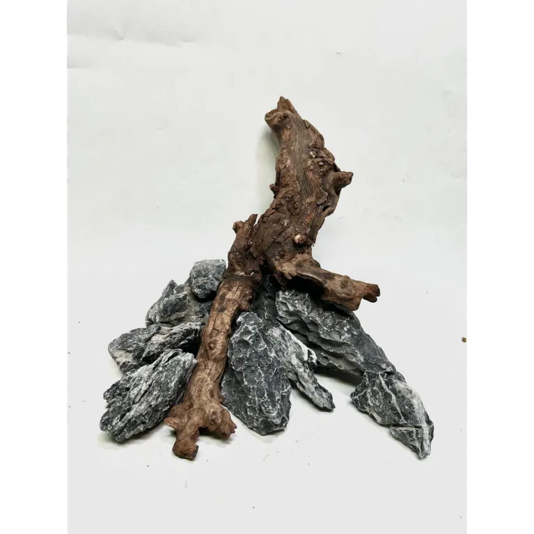 Kit nano scape Ohko asia