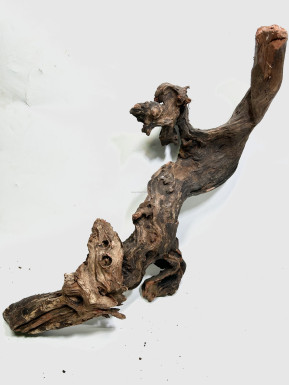 Racine river wood XL02