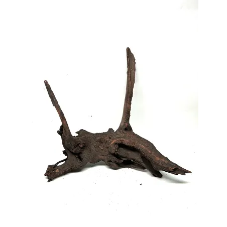 Racine river wood L05