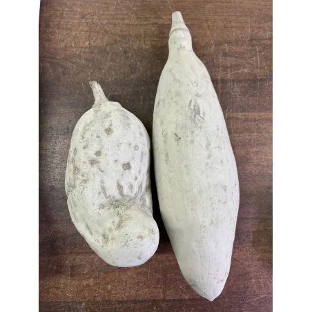 Cosse de Baobab pods