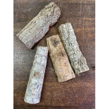 Mini ecorce de chêne-liège 10/20cm