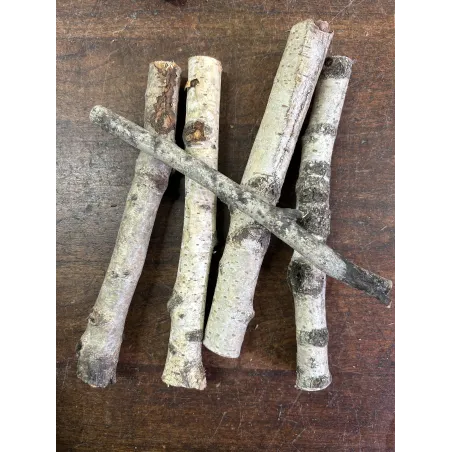 Mini ecorce de chêne-liège 10/20cm