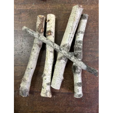 Mini ecorce de chêne-liège 10/20cm