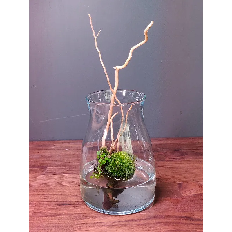 Kit wabikusa Arekushia