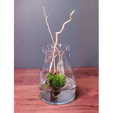 Kit wabikusa Arekushia