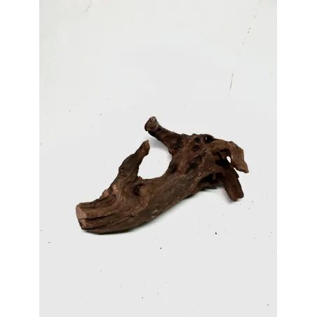 Racine river wood S01