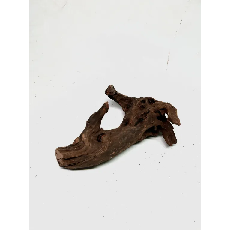 Racine river wood S01