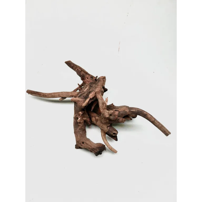 Racine river wood S16