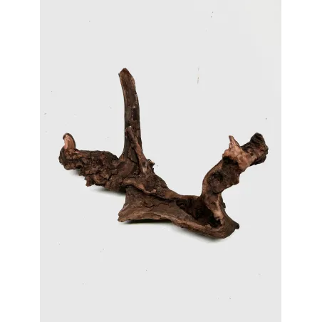 Racine river wood S22