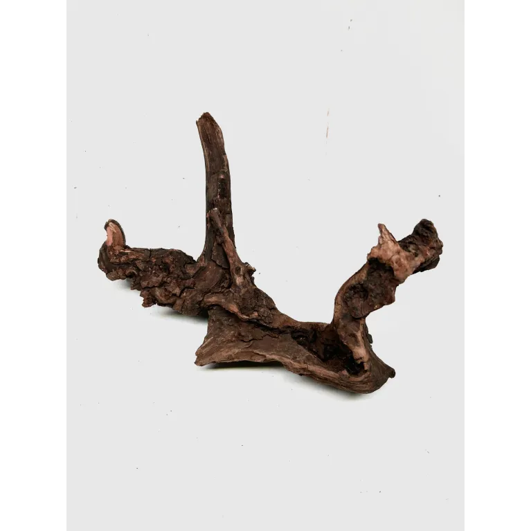 Racine river wood S22