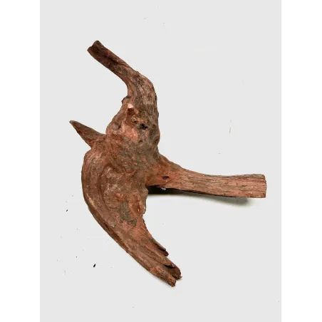 Racine river wood M10