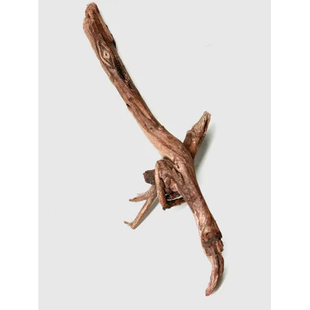 Racine river wood L01