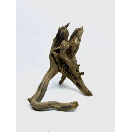 Racine river wood S03