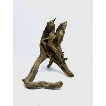 Racine river wood S03