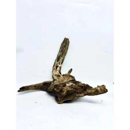 Racine river wood M07