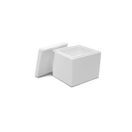 Boite isotherme polystyrène de transport vivant 60x40x30cm environ