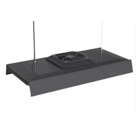 CHIHIROS MIRROR SHADES VIVID III