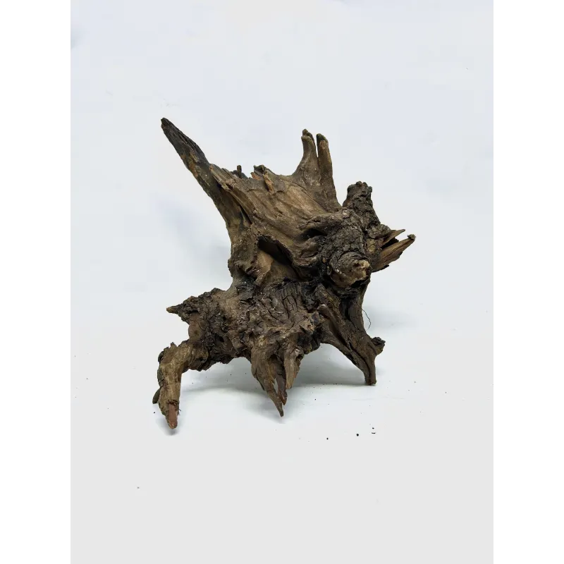 Racine river wood S05