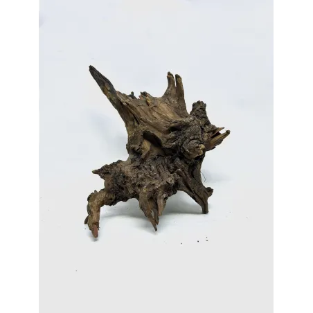 Racine river wood S05