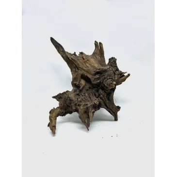 Racine river wood S05