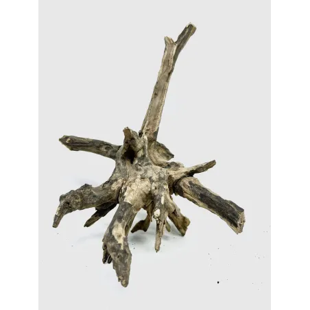 Racine river wood S13