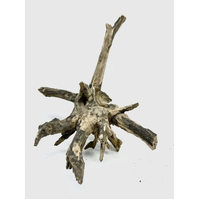 Racine river wood S13