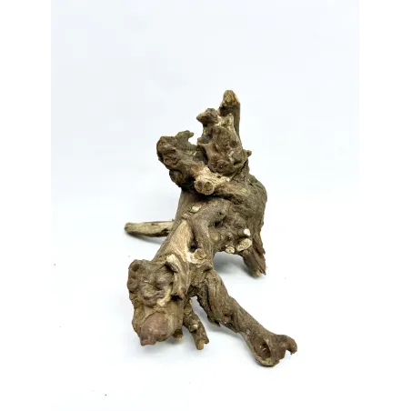 Racine river wood S14