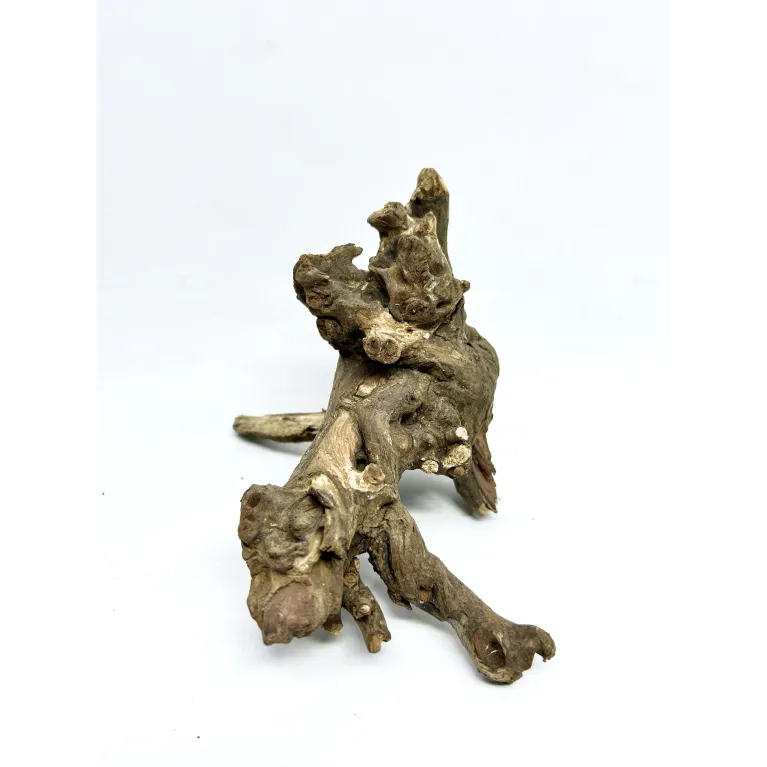 Racine river wood S14