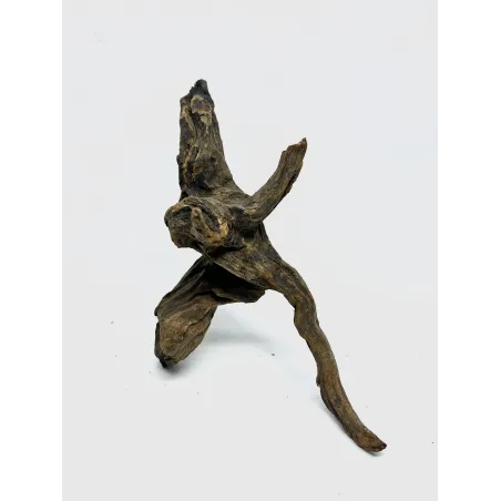 Racine river wood S17