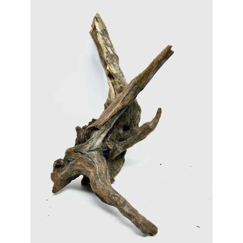 Racine river wood S19