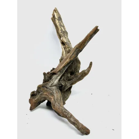 Racine river wood S19