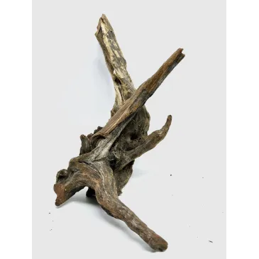 Racine river wood S19