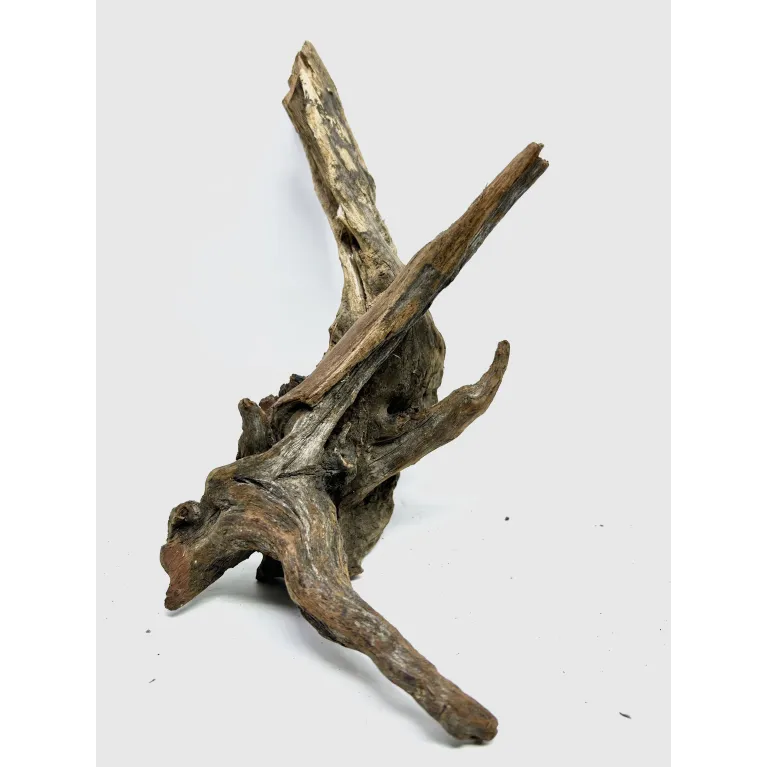 Racine river wood S19