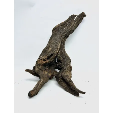 Racine river wood M02